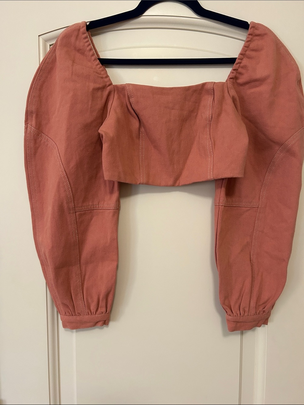 Free People Rust Pink Balloon Sleeve Crop Top